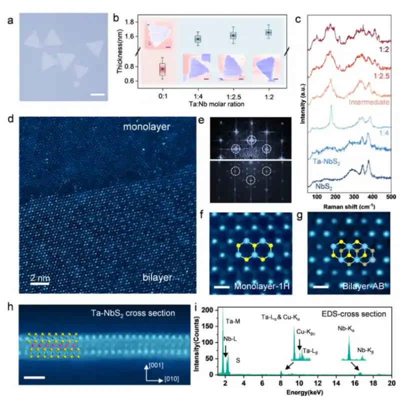 南科大林君浩团队在构筑可调二维“近藤超晶格”的研究中取得进展