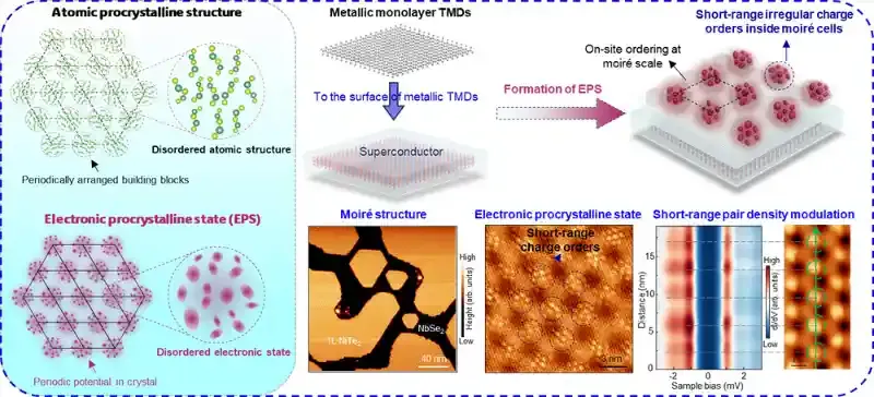 新型“电子原晶态”二维材料的构筑及其短程密度波