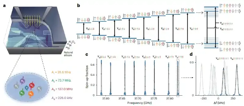 深圳国际量子研究院贺煜课题组在硅基量子计算领域实现重要突破
