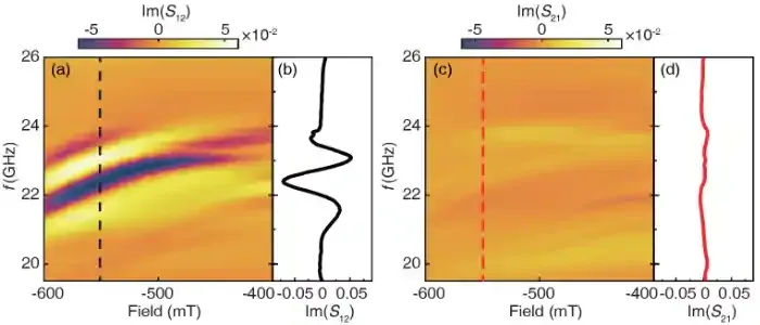 深圳国际量子研究院陈济雷课题组在自旋波表面态研究中取得重要进展