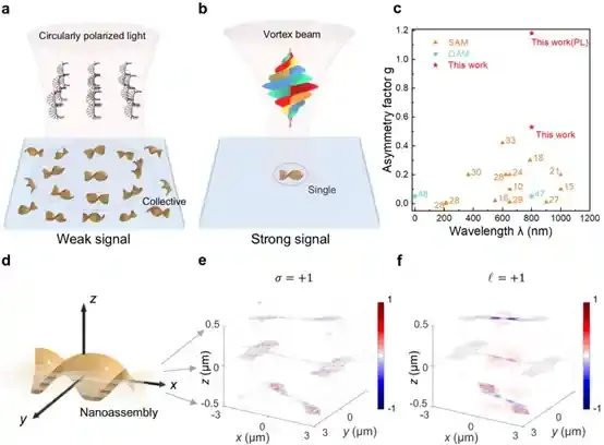 中国科大开发多维螺旋二色性谱检测新技术