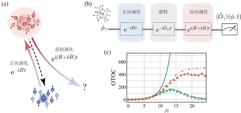 中国科大首次实现量子李雅普诺夫指数的精确提取