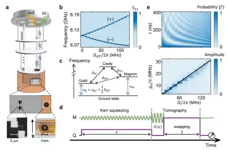 浙江大学光学与量子信息研究所:量子极限下的磁振子压缩
