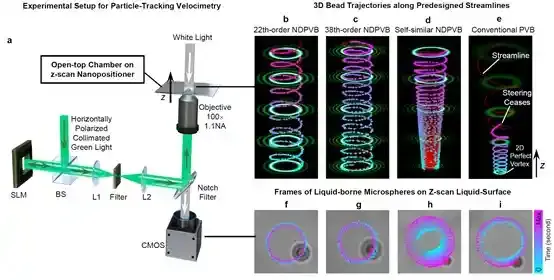 南京大学丁剑平、王慧田团队提出基于流体模型的结构光调控框架