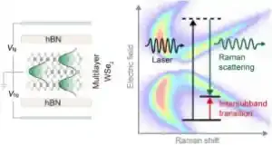 电子拉曼探测范德华量子阱中子带间跃迁及其电学调控