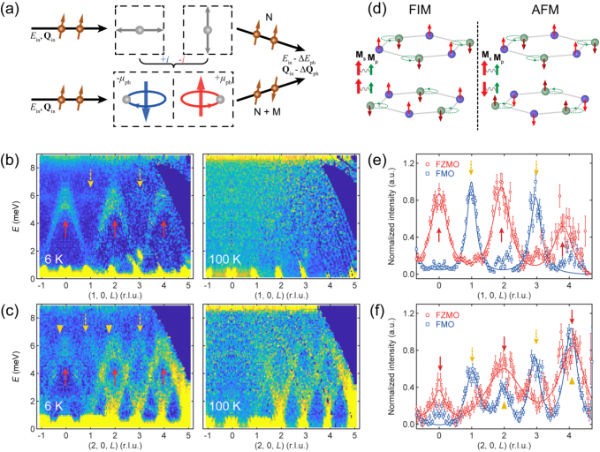 南京大学温锦生课题组在亚铁磁材料中发现手性声子的磁特征