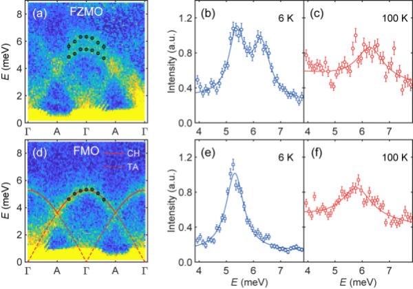 南京大学温锦生课题组在亚铁磁材料中发现手性声子的磁特征