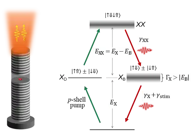 固态量子光源重大突破： 北京量子院袁之良团队实现单量子点高效双光子源