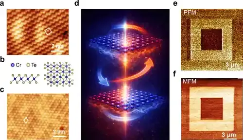 实现室温强磁电耦合的二维本征多铁材料