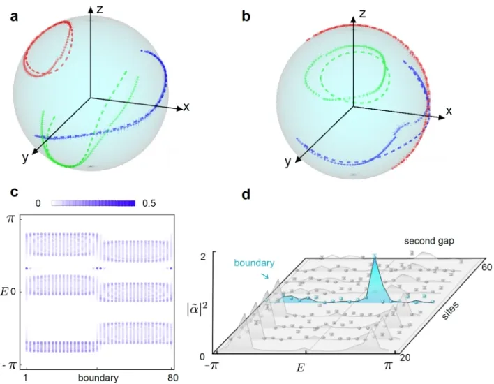 东南大学全光量子信息团队在非阿贝尔拓扑量子物理研究中取得新进展