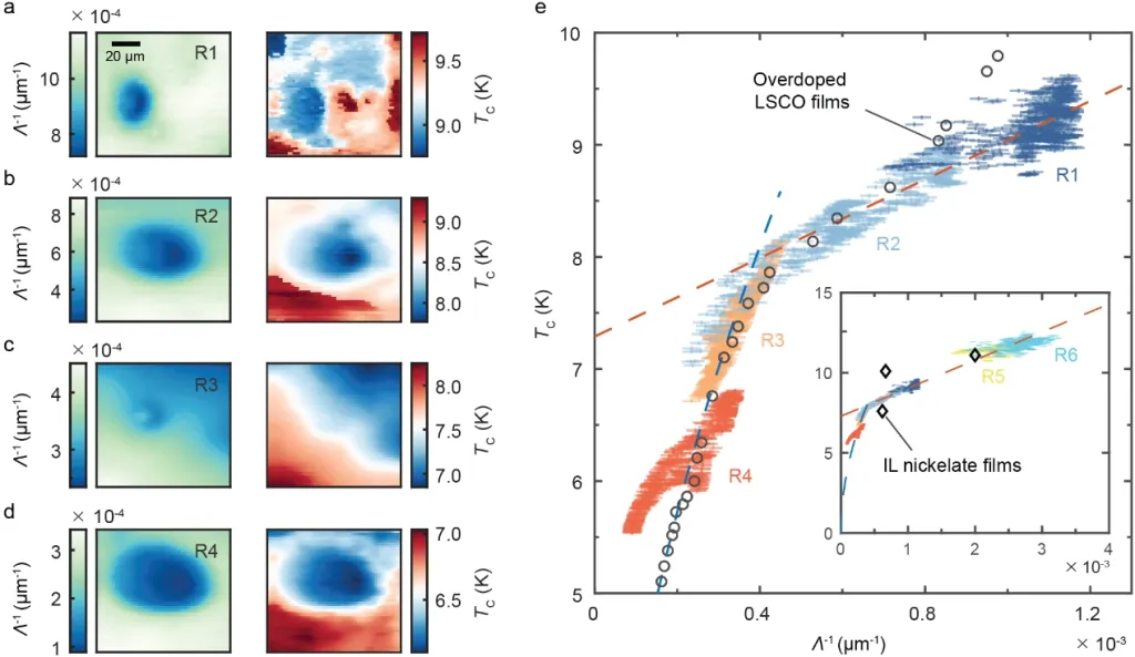 复旦大学王熠华课题组揭示无限层镍基超导体中超流密度与超导转变温度的关联规律