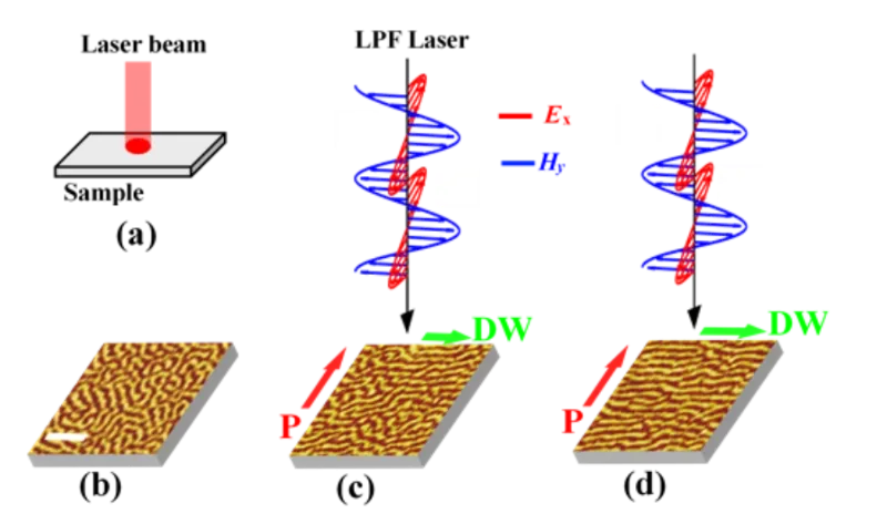 熊昌民和张文凯团队实现飞秒激光对氧化物多畴磁畴壁的精准“光操控”
