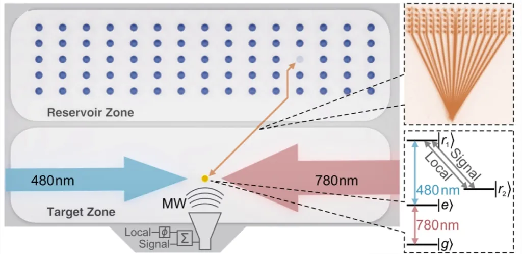 国家精密重力测量科学中心、物理学院李霖教授团队  里德堡原子光量子操控领域获进展