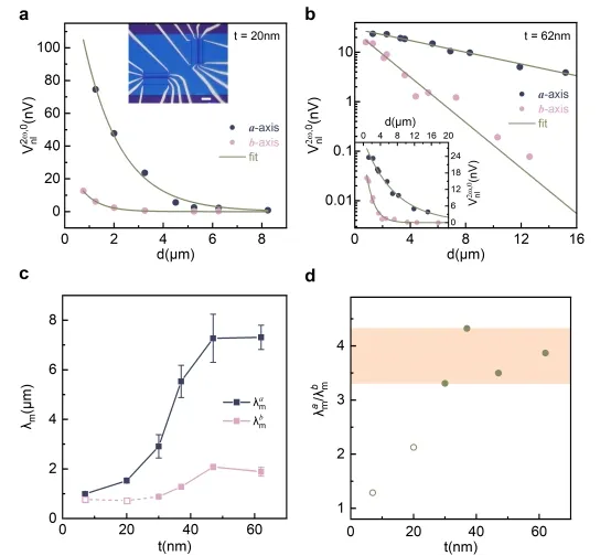 北京量子院陈剑豪团队发现二维自旋晶格中的准一维磁子自旋输运