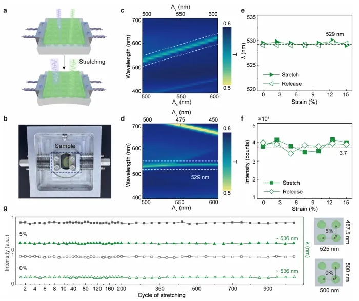 上海微系统所实现基于钙钛矿量子点的高稳定柔性纳米激光器|ACS Nano