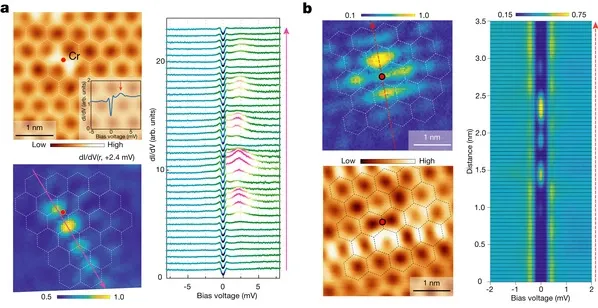 安徽大学材料学部单磊教授团队在笼目超导体中发现新型局域电子态