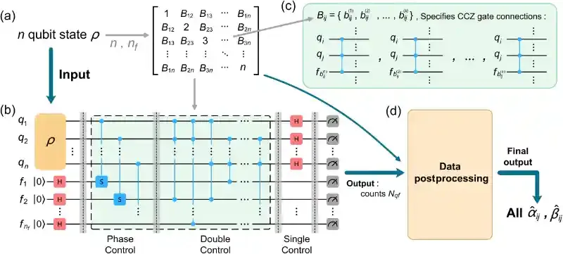 线上用户基于Quafu量子计算云平台取得重要科研进展