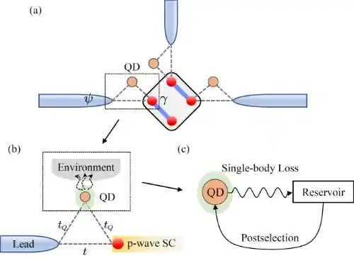 南京大学王锐、王伯根课题组揭示耗散系统中反常近藤效应
