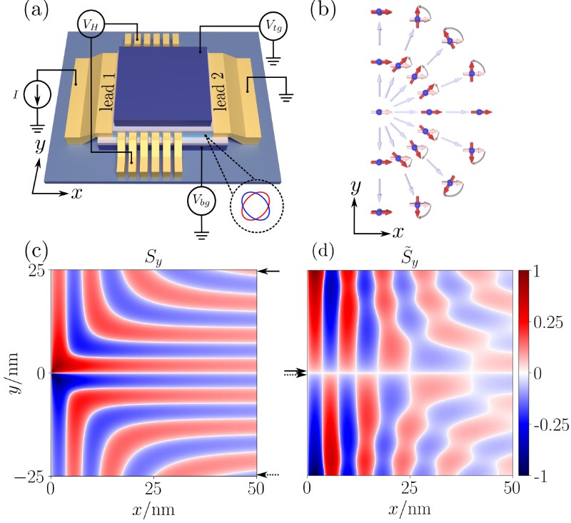 陈伟教授、邢定钰院士课题组揭示交错磁体本征自旋动力学