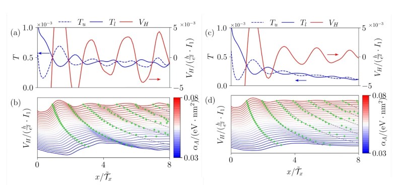 陈伟教授、邢定钰院士课题组揭示交错磁体本征自旋动力学