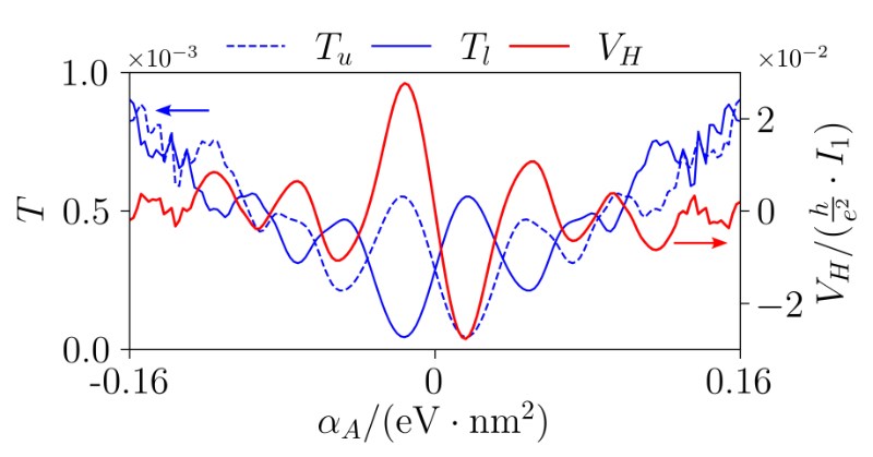 陈伟教授、邢定钰院士课题组揭示交错磁体本征自旋动力学