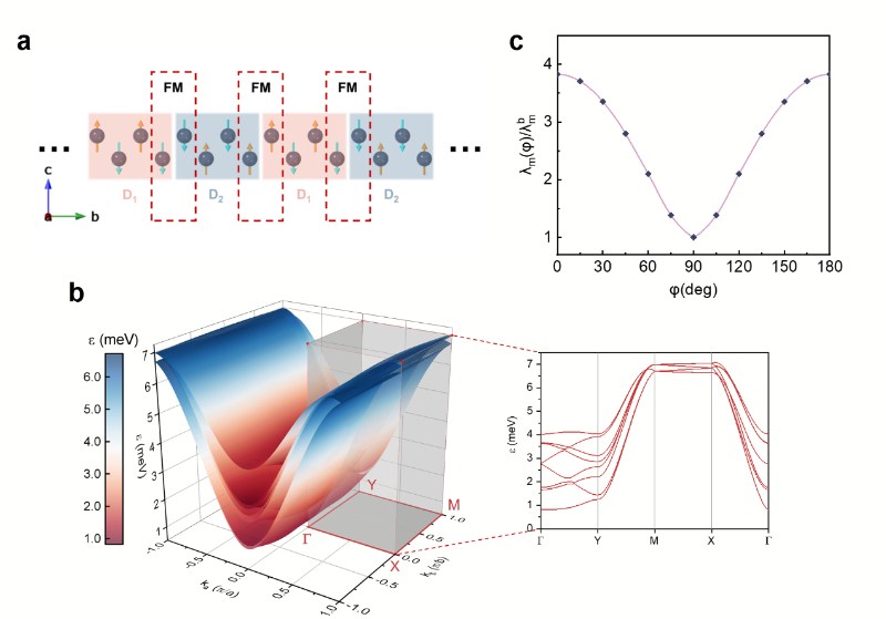 北京大学物理学院陈剑豪团队首次观测到二维自旋晶格中的准一维磁子自旋输运