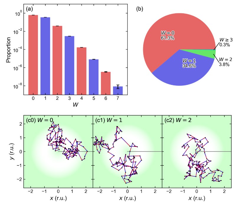 北京大学化学与分子工程学院刘剑课题组揭示多态路径积分视角下的量子几何相位热力学效应