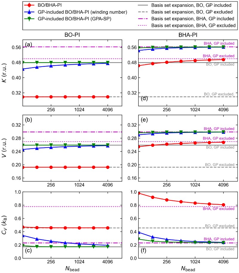 北京大学化学与分子工程学院刘剑课题组揭示多态路径积分视角下的量子几何相位热力学效应