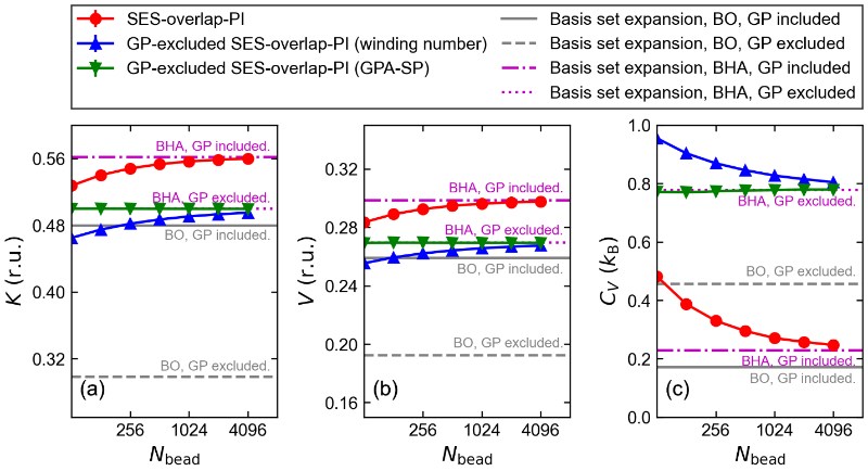 北京大学化学与分子工程学院刘剑课题组揭示多态路径积分视角下的量子几何相位热力学效应