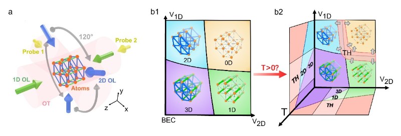 北京大学电子学院周小计、姚和朋团队利用原子量子模拟器首次完整探测维度交叉的普适相图