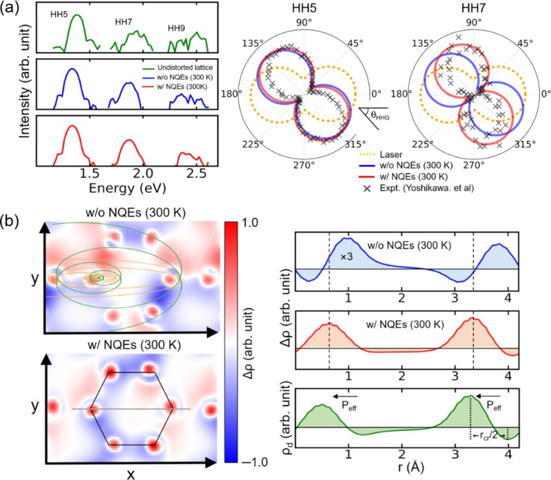 核量子效应驱动的固体阿秒电子动力学涨落新机制