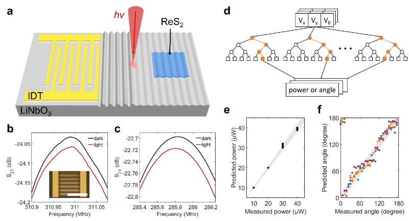 复旦大学修发贤课题组实现基于光热-声电效应的可重构偏振探测器