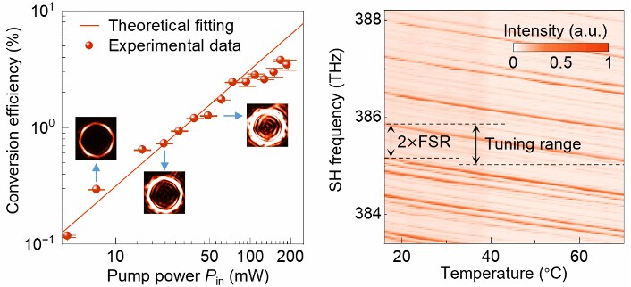 在范德瓦尔斯材料“雕刻”光学微腔：实现片上高效非线性光学