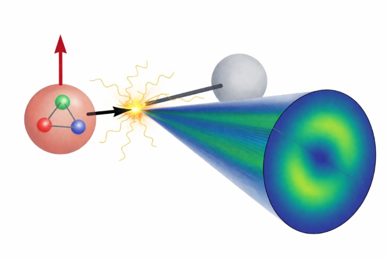 复旦大学邵鼎煜课题组与合作者提出利用喷注单点能量关联研究质子横向性分布及张量荷