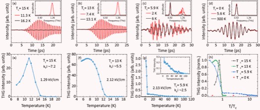 在强无序超导体中探寻太赫兹非线性响应：揭示超导Higgs模与正常电子的量子干涉