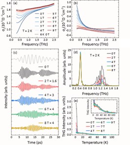 在强无序超导体中探寻太赫兹非线性响应：揭示超导Higgs模与正常电子的量子干涉
