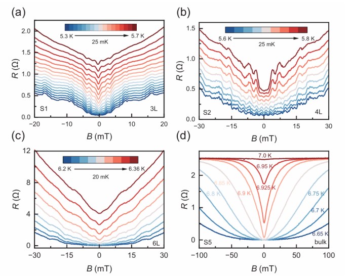南方科技大学薛其坤-杨硕颖团队在少层NbSe2本征超导干涉研究中取得进展