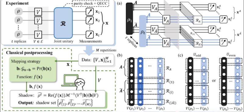 复旦北大联合团队提出无辅助复本阴影估计框架，在量子学习领域取得重要突破