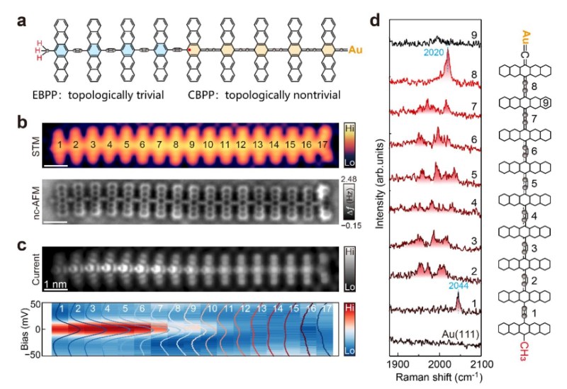 中国科大实现拓扑孤子精准调控与精密探测