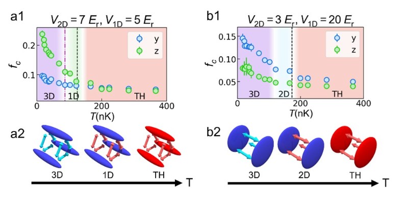 北京大学周小计、姚和朋团队利用原子量子模拟器首次完整探测维度交叉的普适相图