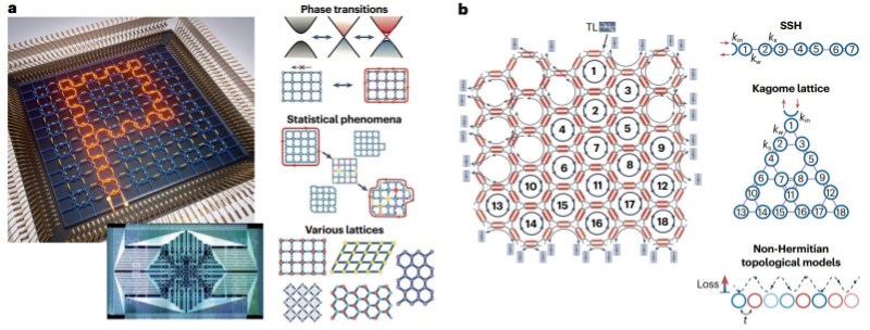 可重构与可编程集成拓扑光子学系列研究新进展