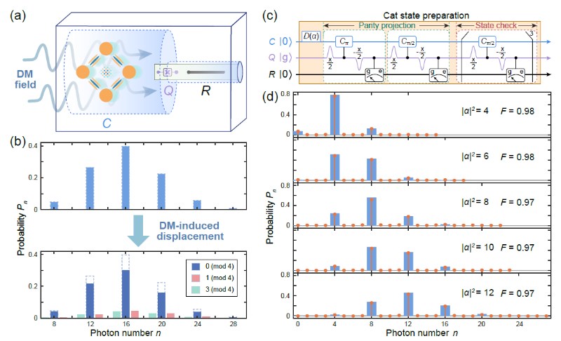 深圳国际量子研究院超导量子计算团队实现基于猫态的量子增强暗物质搜寻
