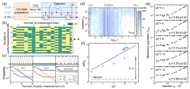 深圳国际量子研究院超导量子计算团队实现基于猫态的量子增强暗物质搜寻