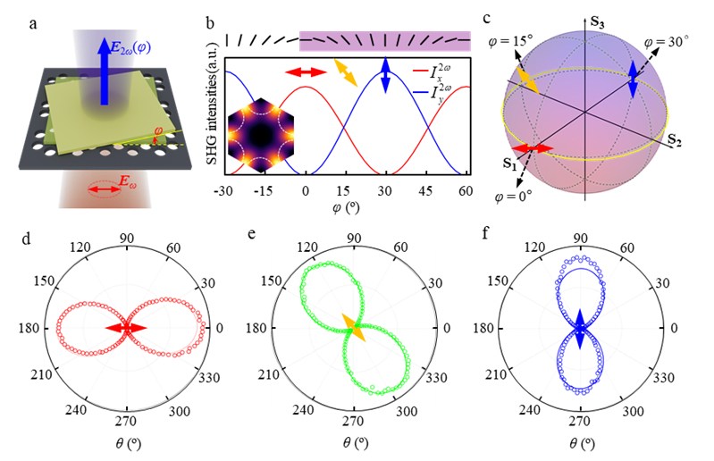 物理学院杨元杰教授团队在Advanced Photonics上发表最新研究成果