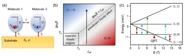 南通大学房铁峰教授与合作者在分子自由基对的量子相变研究方面取得新进展