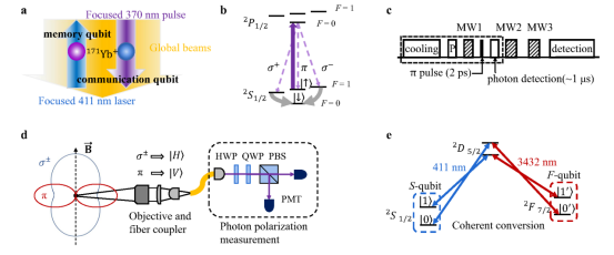 清华段路明研究组利用双类型量子比特编码首次实现无串扰的量子网络结点