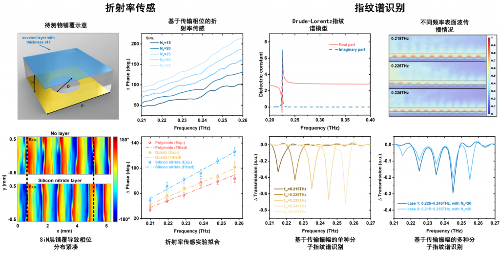 北大研究团队提出基于飞秒激光辐照耦合表面波的传感新策略