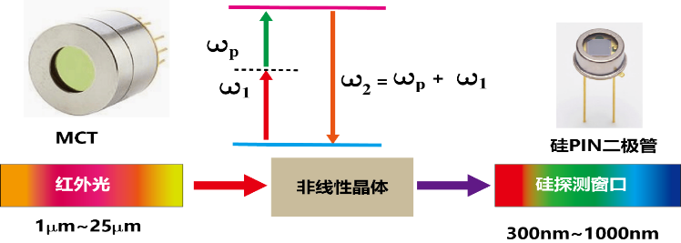 中国科大在中红外波段量子纠缠的制备与表征方面取得重要进展