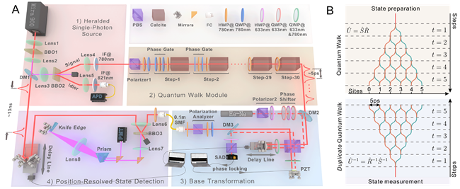 图1. 神经网络模型与开放量子行走系统之间的映射。