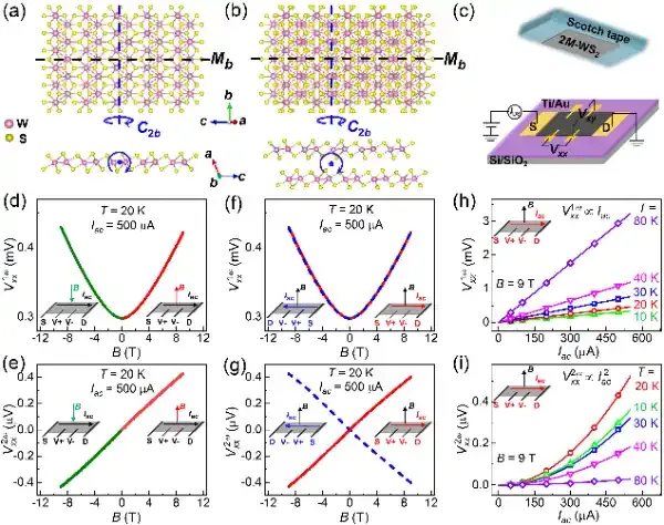 北京量子信息科学研究院与合作者在奇异金属的量子几何非线性输运研究中取得新进展